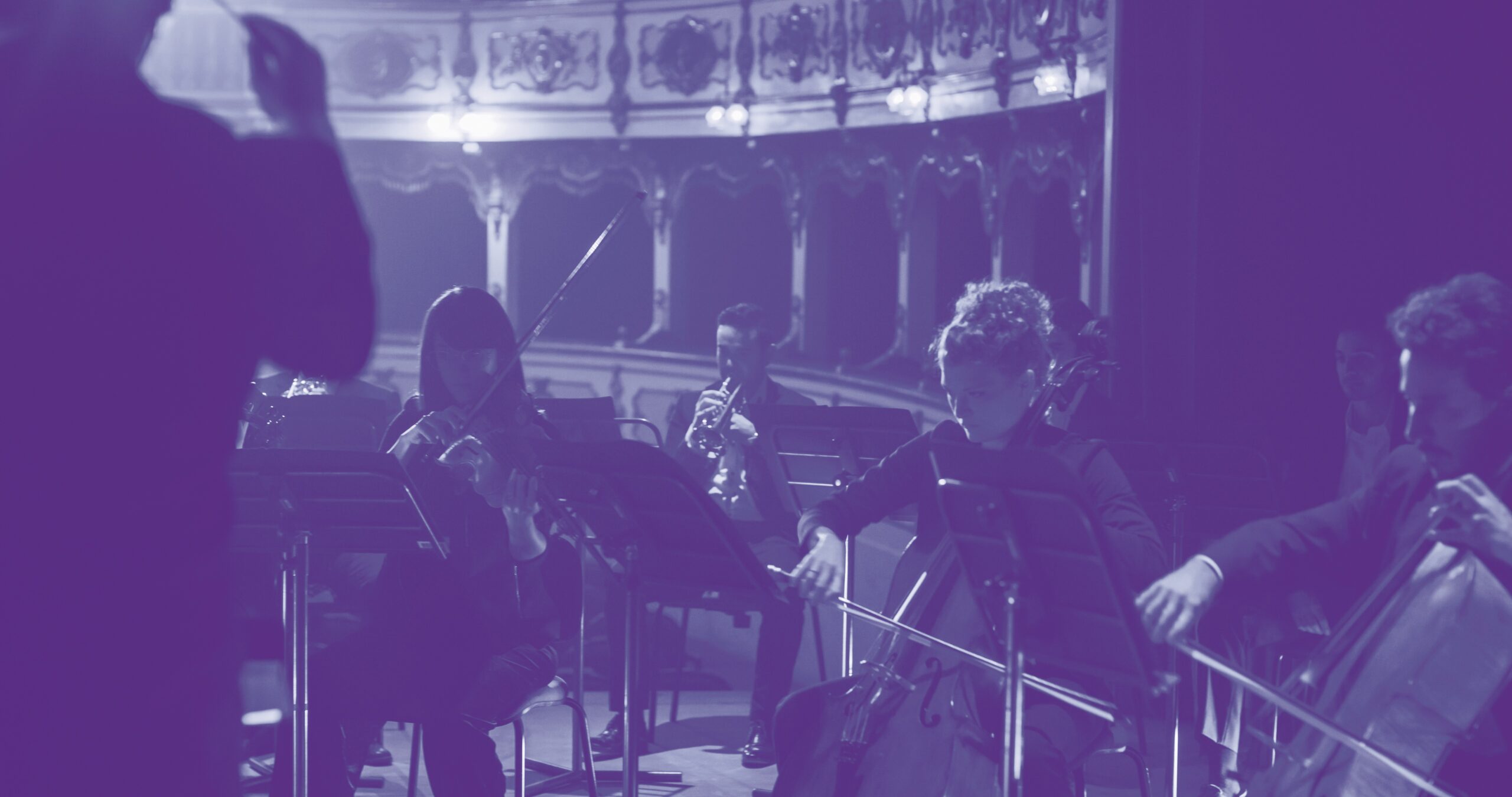 Cinematic Shot of Symphony Orchestra Musicians Performing on the Stage of a Classic Theatre During a Classical Music Concert. Focused Performers Playing Different Instruments